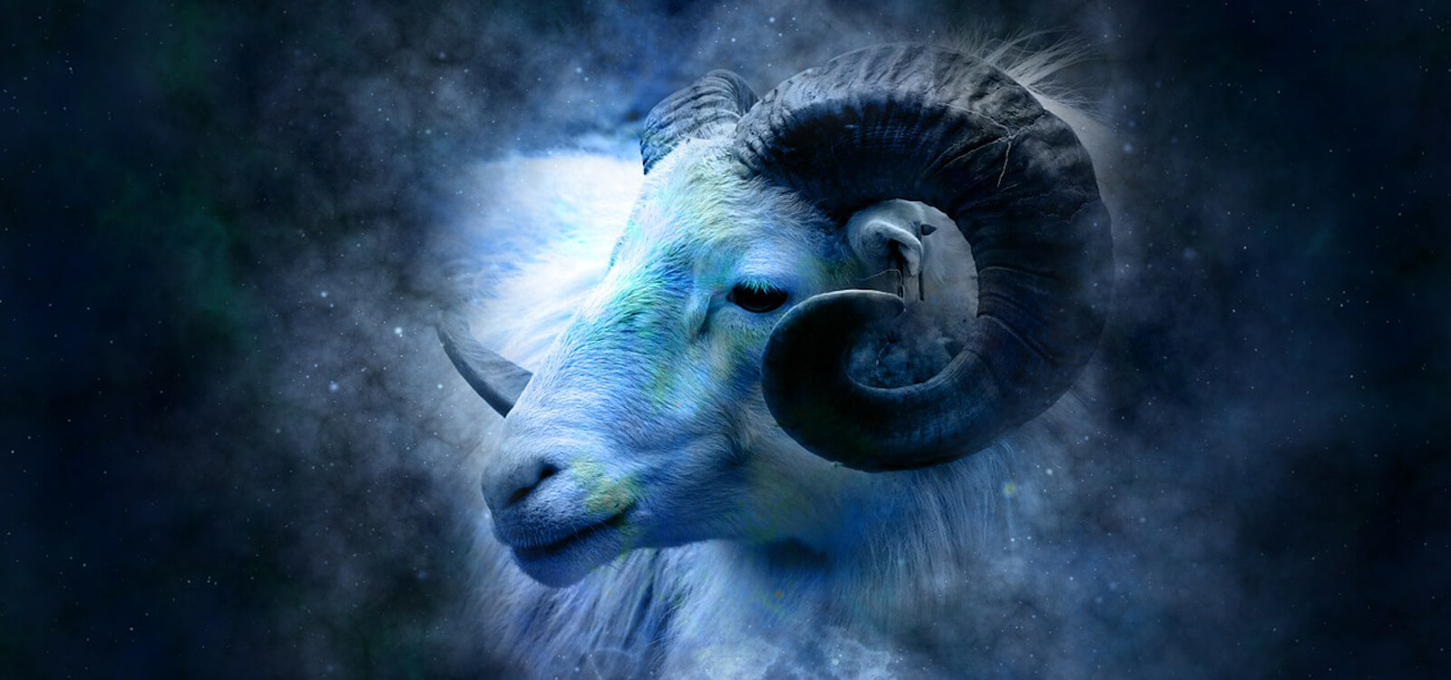 astrology chinese 2018 sheep